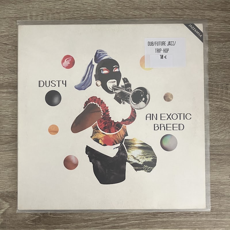 Dusty – An Exotic Breed