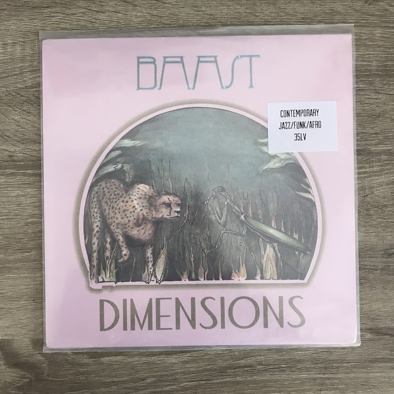 Baast – Dimensions