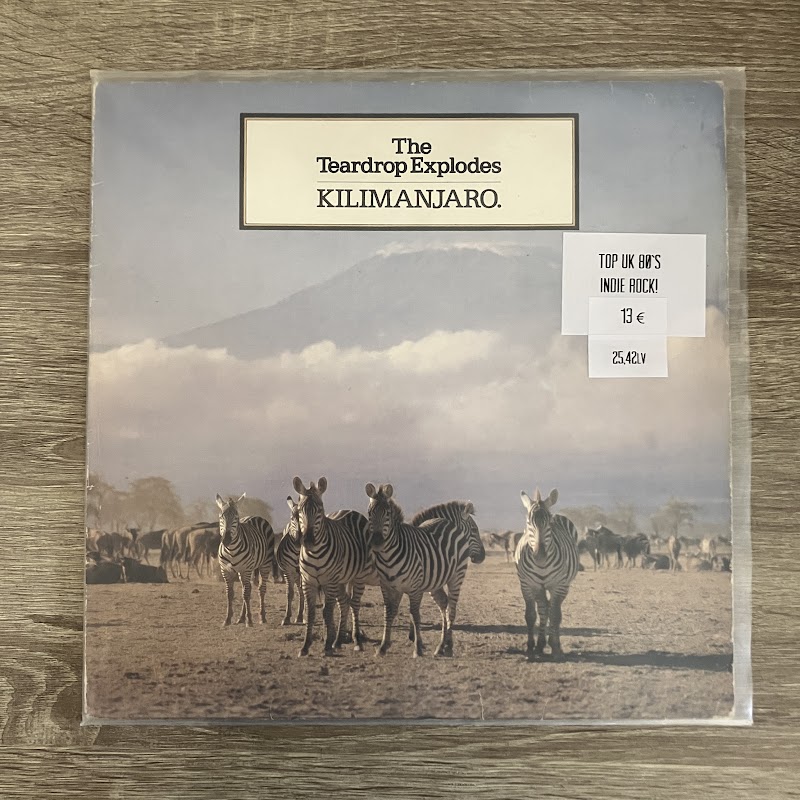 The Teardrop Explodes – Kilimandjaro