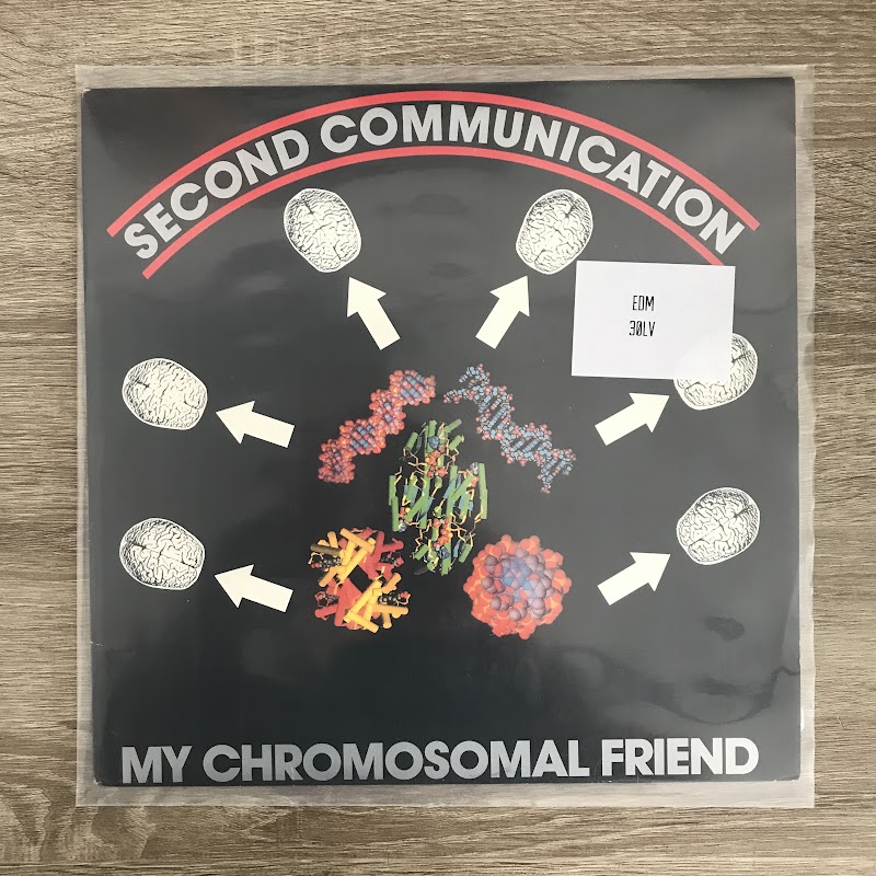 Second Communication – My Chromosomal Friend
